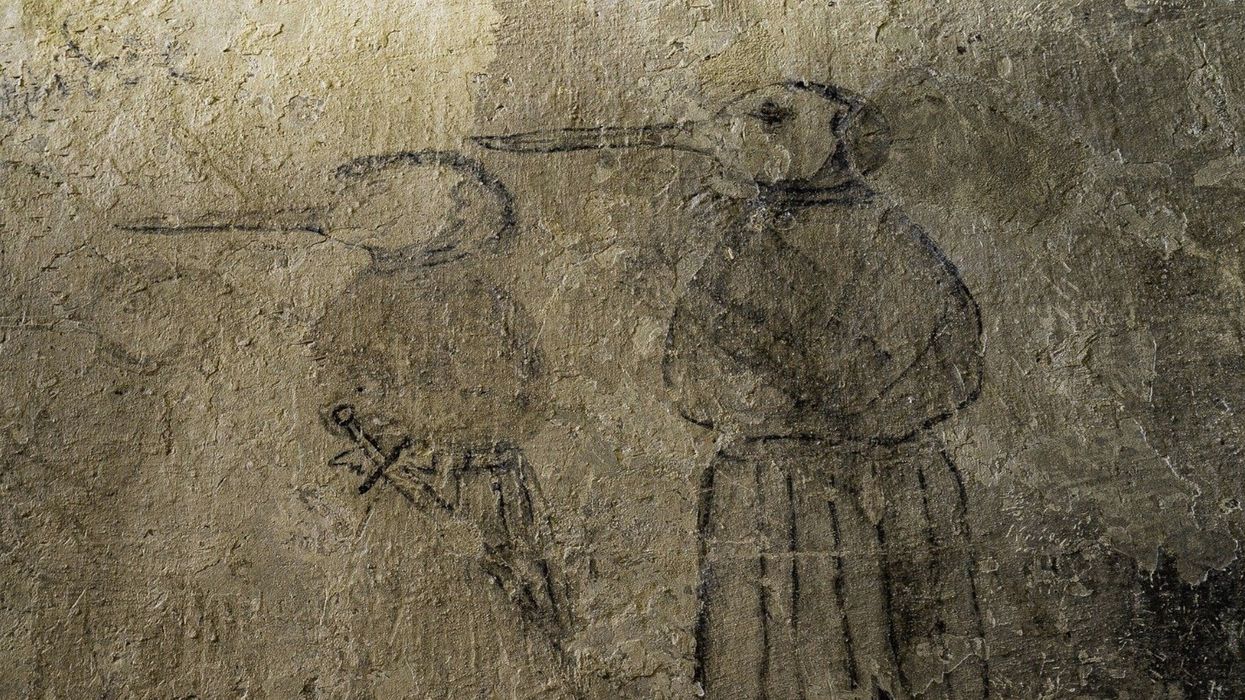 Human case of the bubonic plague confirmed in Colorado