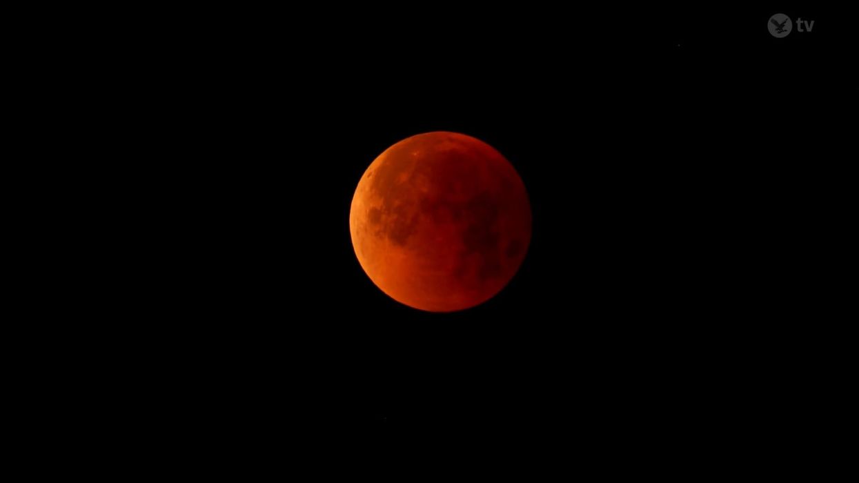 When will the total lunar eclipse be visible and what is the 'blood worm moon'?
