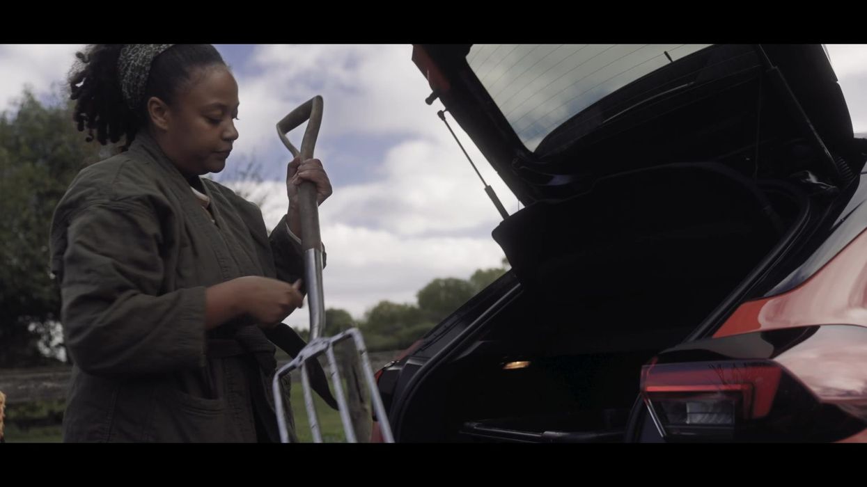 Vandals sickeningly destroy allotment of woman growing food to feed those in need