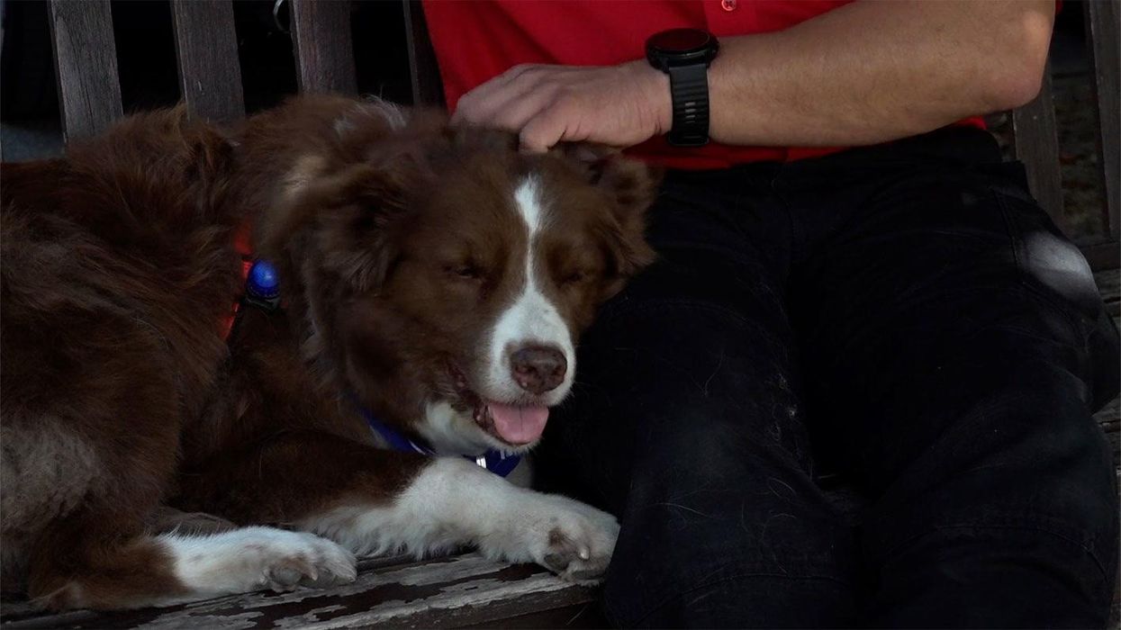 'Emergency bank holiday' requested amid scorching UK temperatures