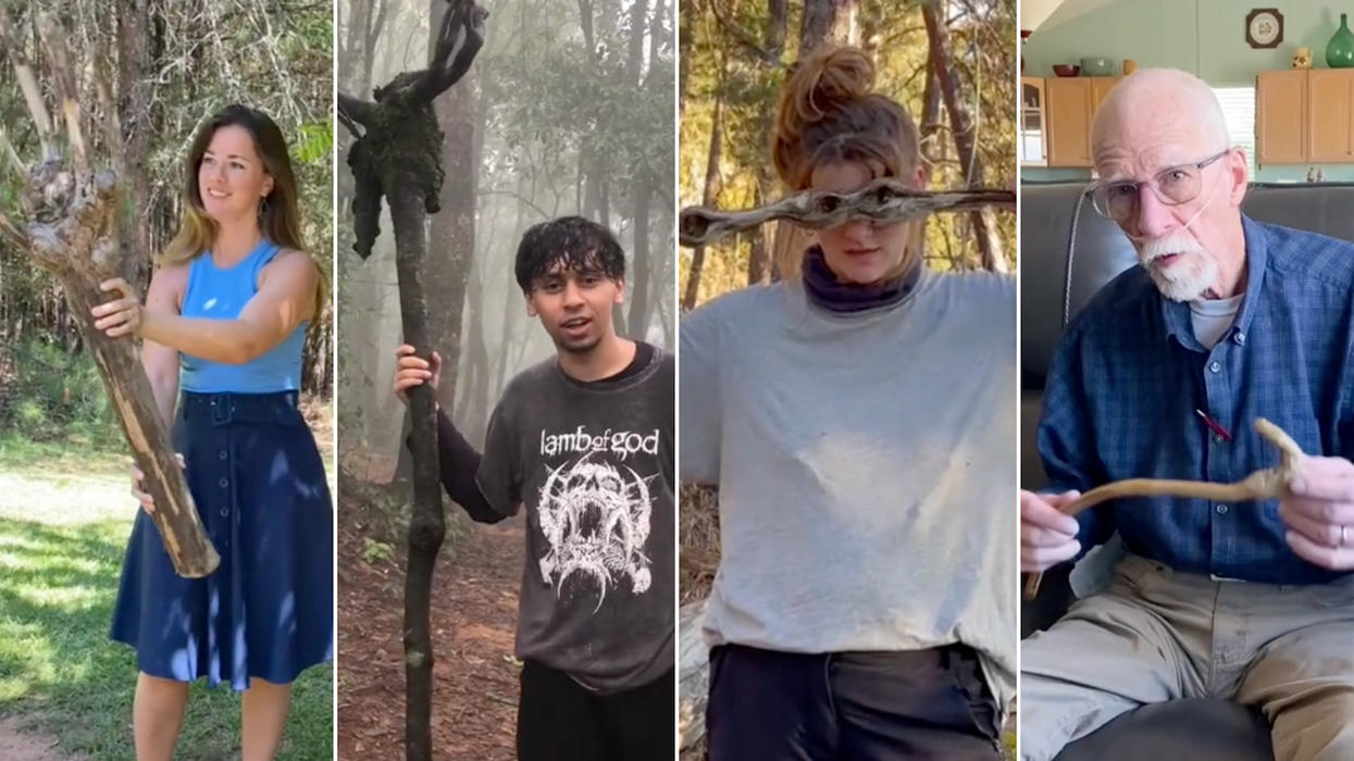TikTok's obsession with finding cool sticks might be the only wholesome trend left on the internet