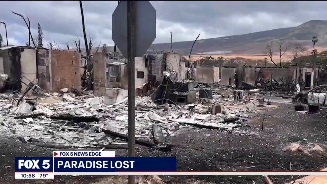 How to help the victims of the Maui wildfires