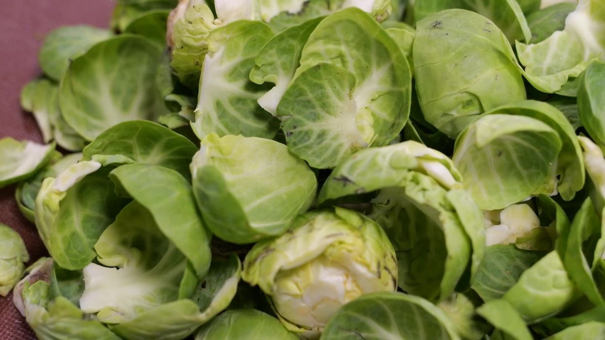 Food hygiene expert on when exactly you should be buying your Christmas dinner ingredients