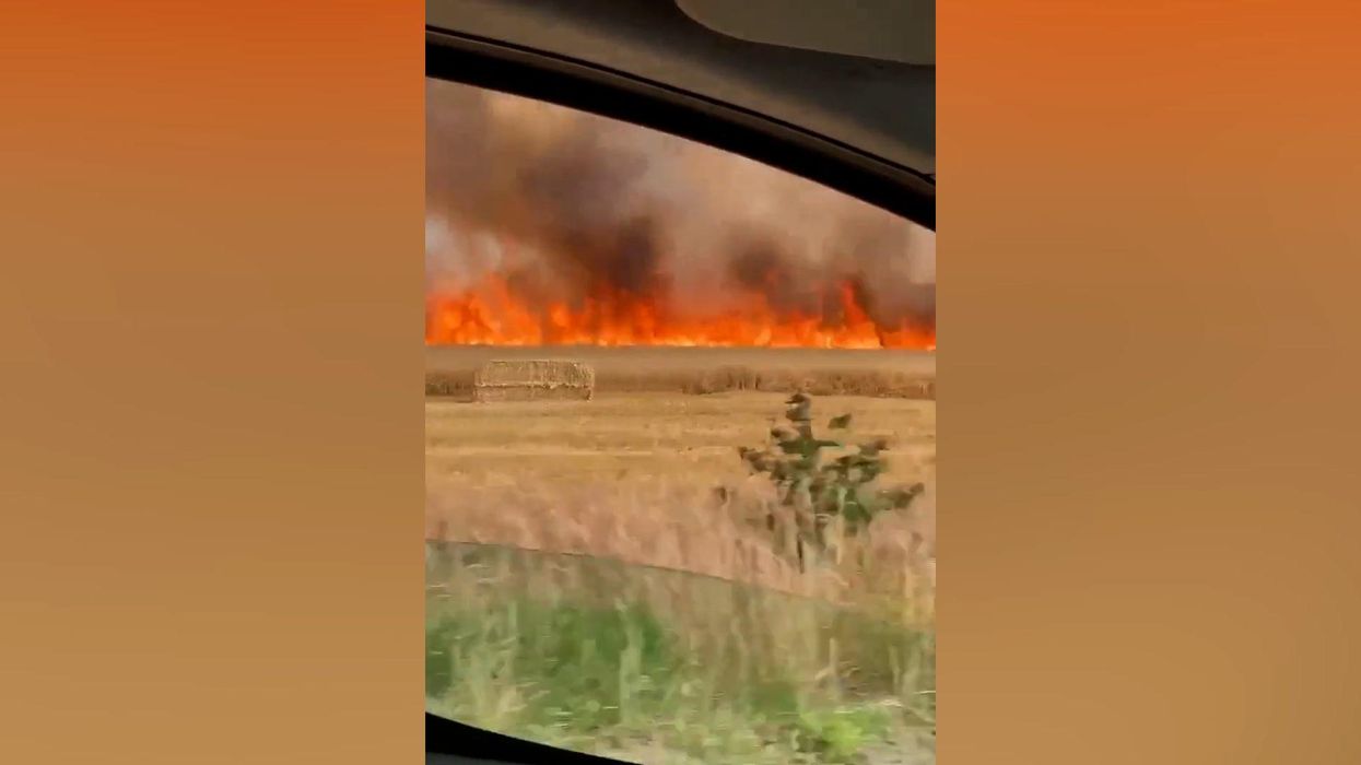 12 of the most British reactions to the 'record breaking' heatwave