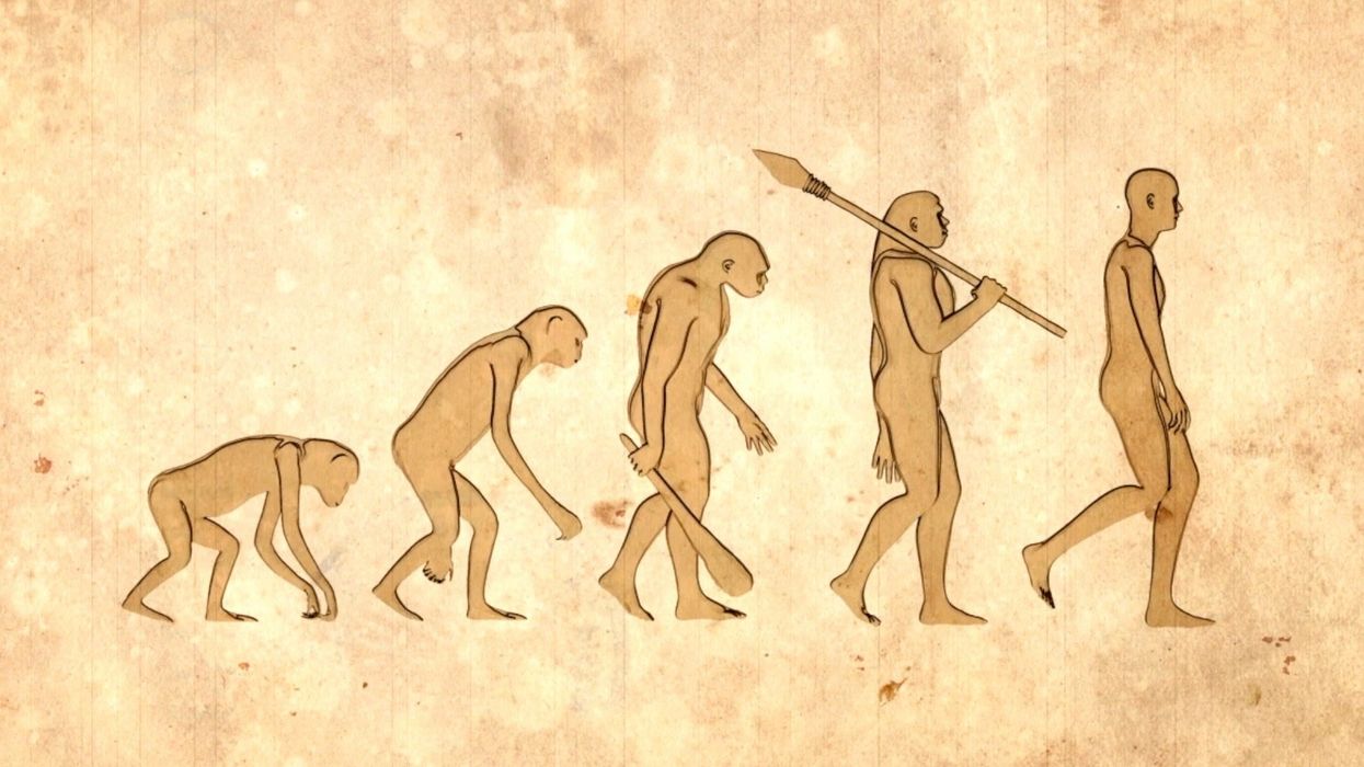 Who were the Red Deer Cave people? Humans' forgotten ancestors