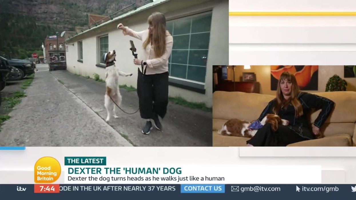 'Human dog' walks around on two legs after near-death experience