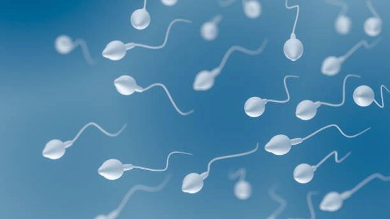 Scientists discover how a sperm and egg fuse together like a 'lock and key'