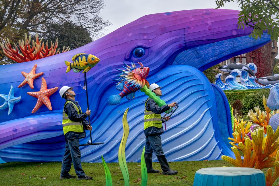 Lantern trail at zoo returns for first time in six years with aquatic theme