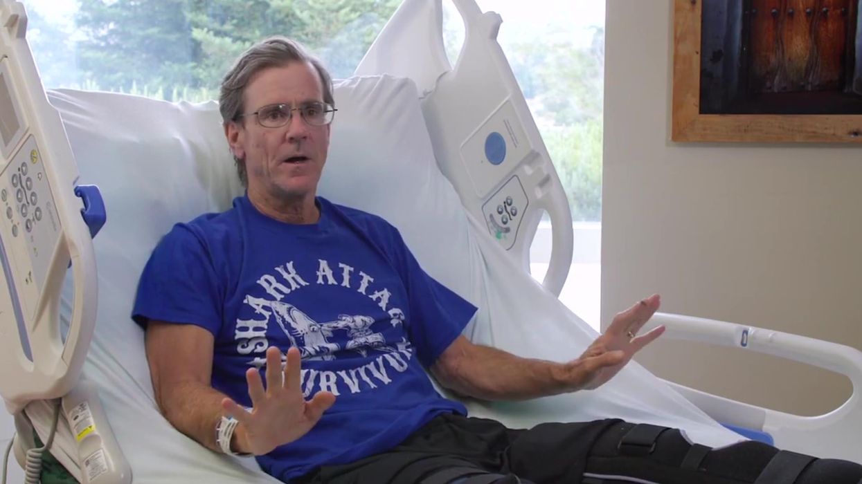 Scary footage shows diver narrowly avoid the jaws of a great white shark