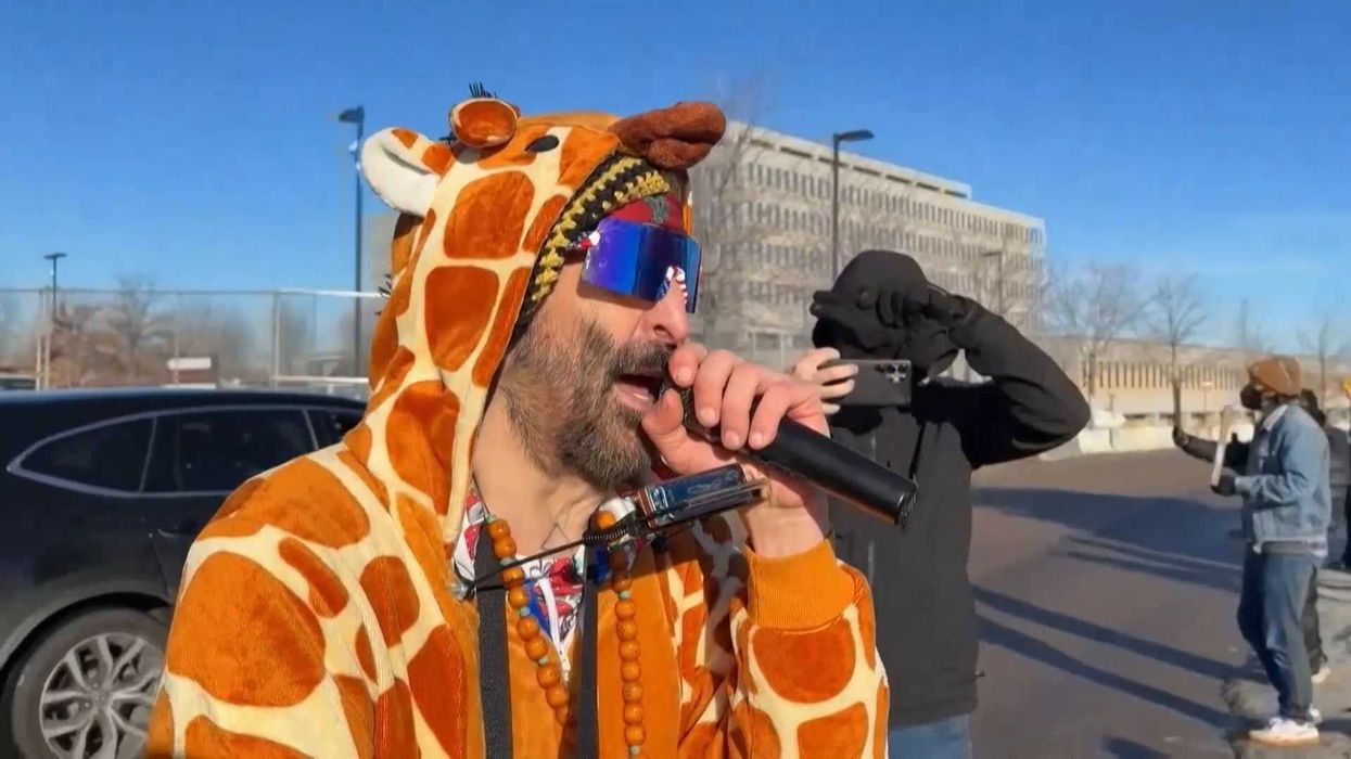 Stop giraffing around: ICE arrest protestor dressed as giraffe in Minneapolis