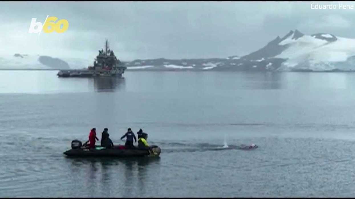 Scientists are diving deep into Arctic waters to discover secrets of the deep
