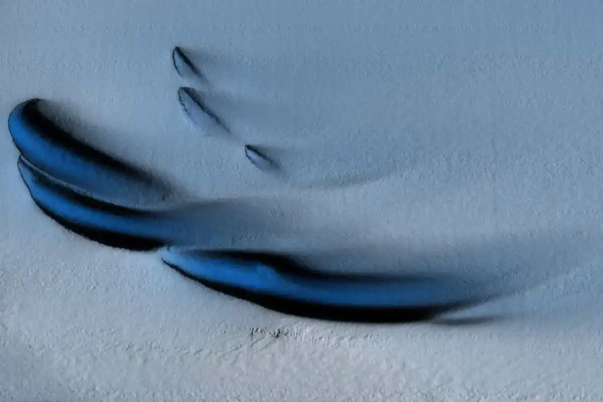 Ice structures on the underside of the Dotson Ice Shelf in West Antarctica