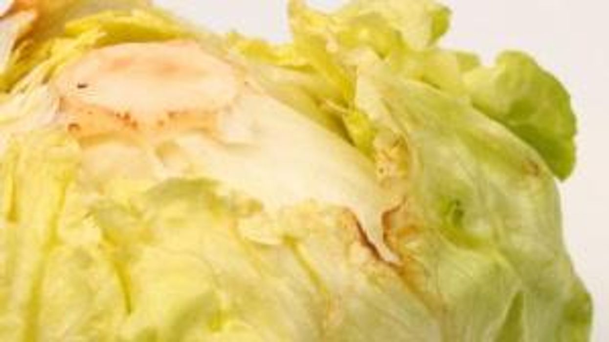 How long does a head of lettuce last?