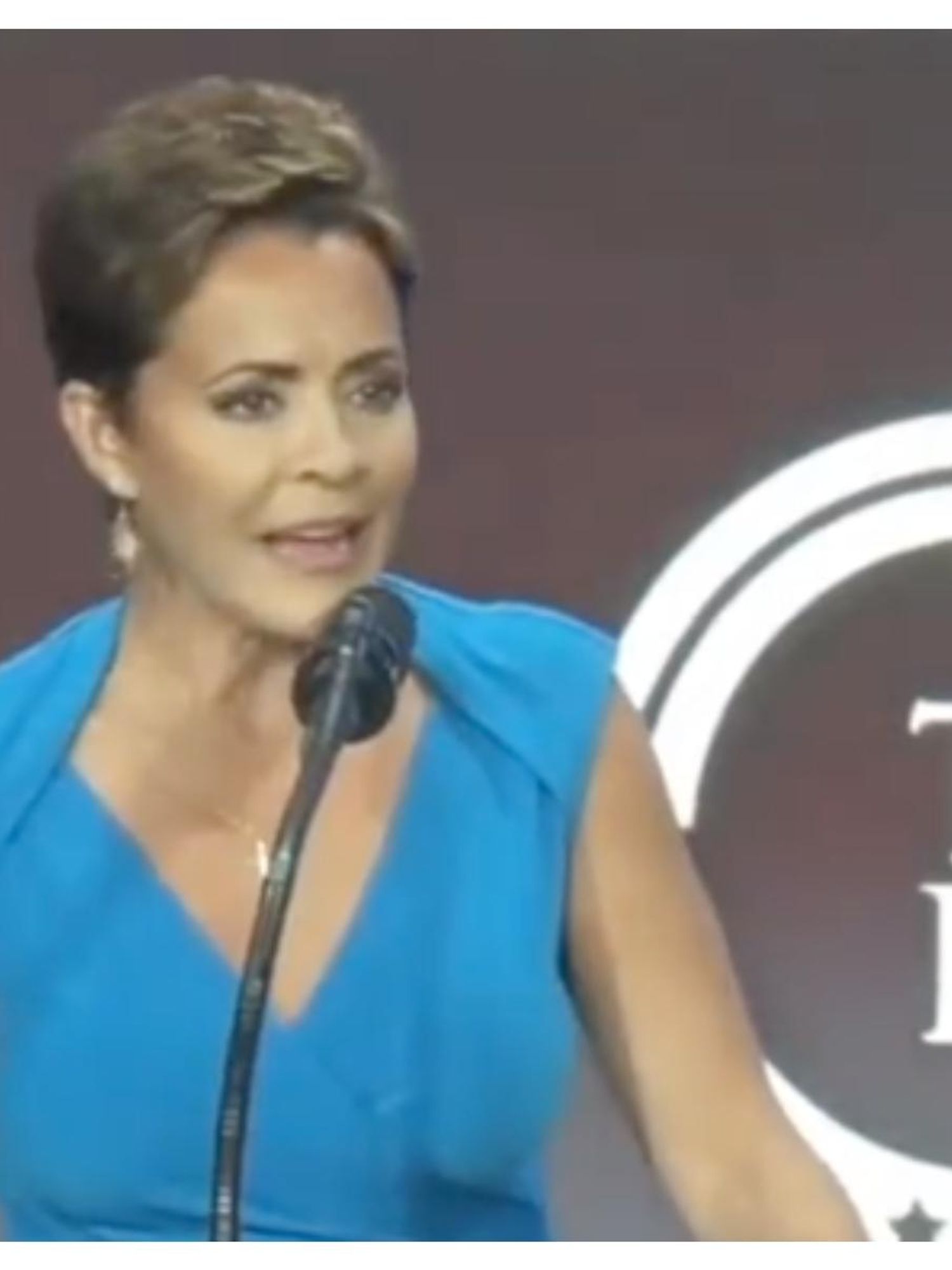 Republican candidate says Donald Trump and Ron DeSantis have 'big d*** energy'