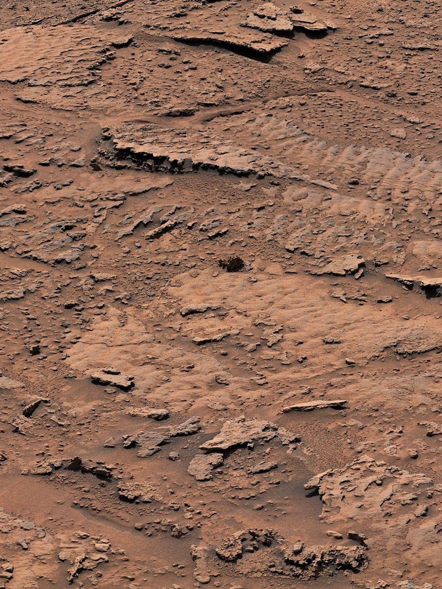 NASA just found ‘clearest evidence’ of ancient lakes on Mars