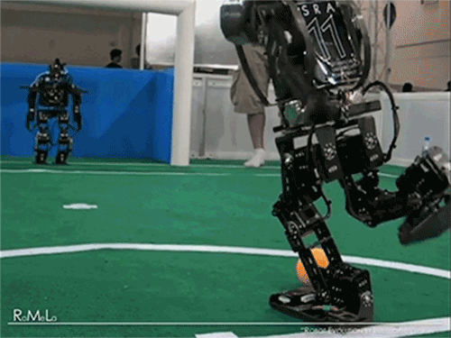 [Image: image.gif?id=28083831&width=800&quality=85]
