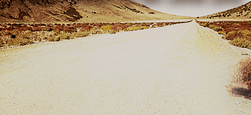 image.gif?id=28092523&width=800&quality=