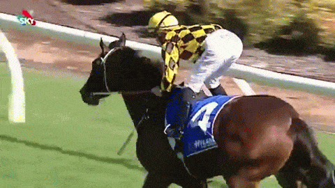 Jockey becomes the butt of jokes after mooning the field