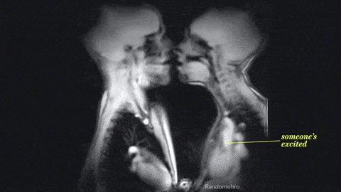 This is an altogether different type of sex tape