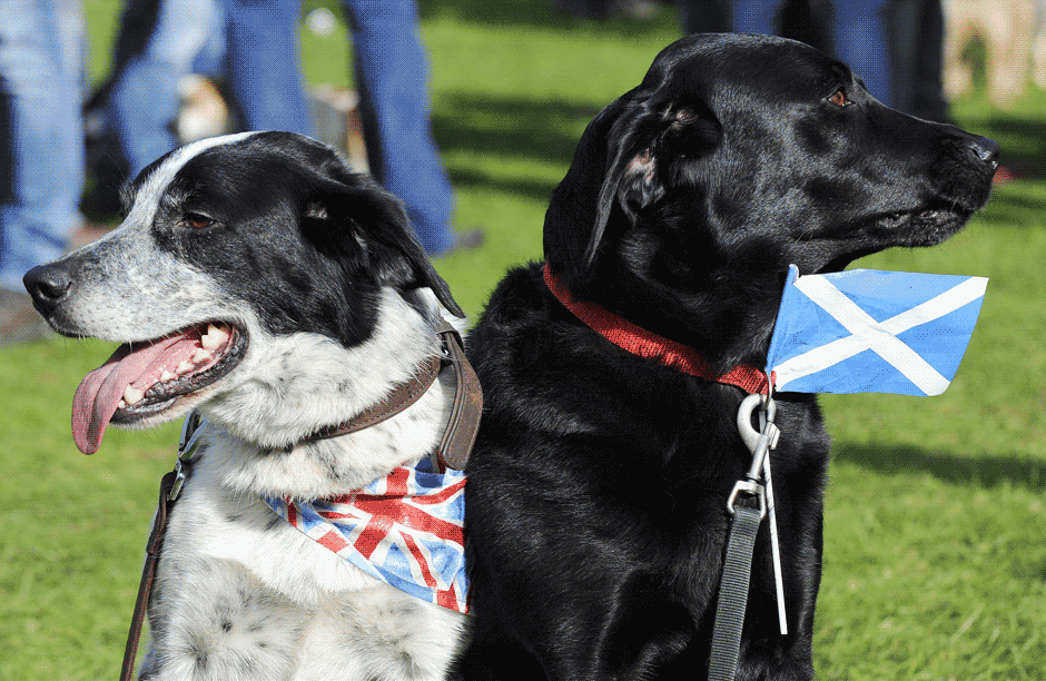 Meanwhile, in Scotland: The 'no' campaign's lead is narrowing