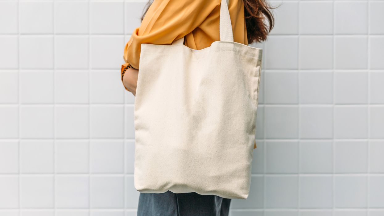 Simple Modern on Instagram: A new season calls for a NEW bag - our Harper  Tote is now available in canvas! 😍 Spread holiday cheer in style all  season long! 🌲