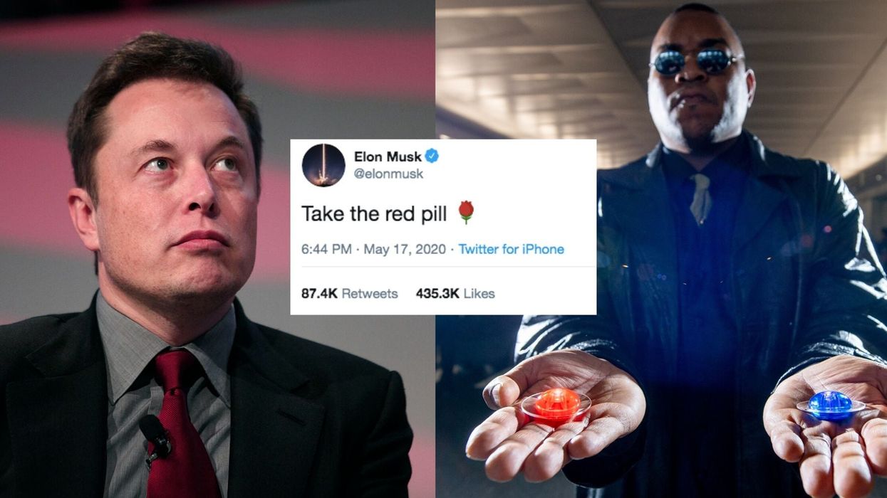 Vælge coping Hjelm Take the red pill: Why did Elon Musk tweet alt-right slogan? | indy100 |  indy100