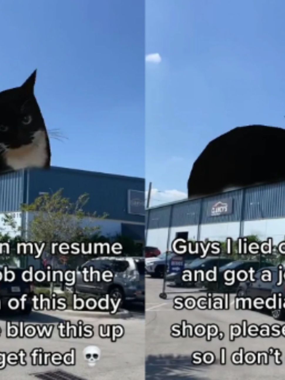How a cat meme caused Clancy's Auto Body Shop to go viral | indy100