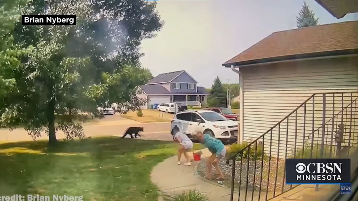 Terrifying moment screaming teenagers scramble to safety after bear casually strolls past them