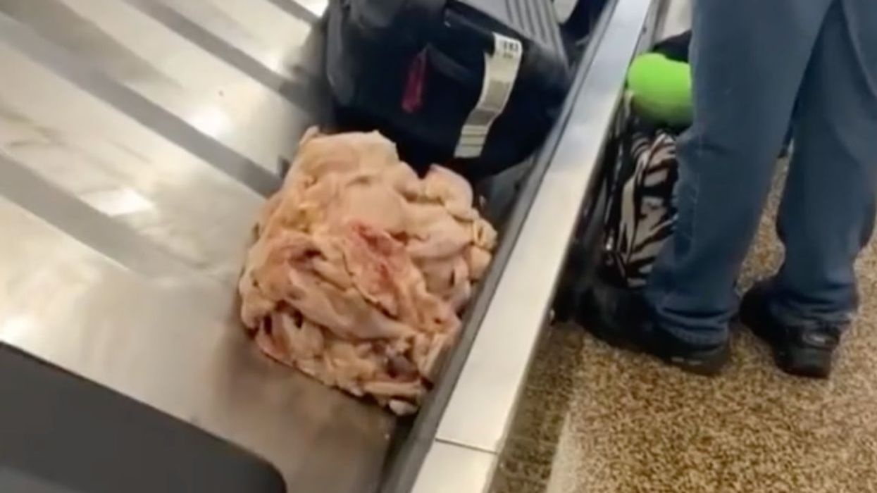 Vile clip shows pile of unpackaged raw chicken on the airport carousel