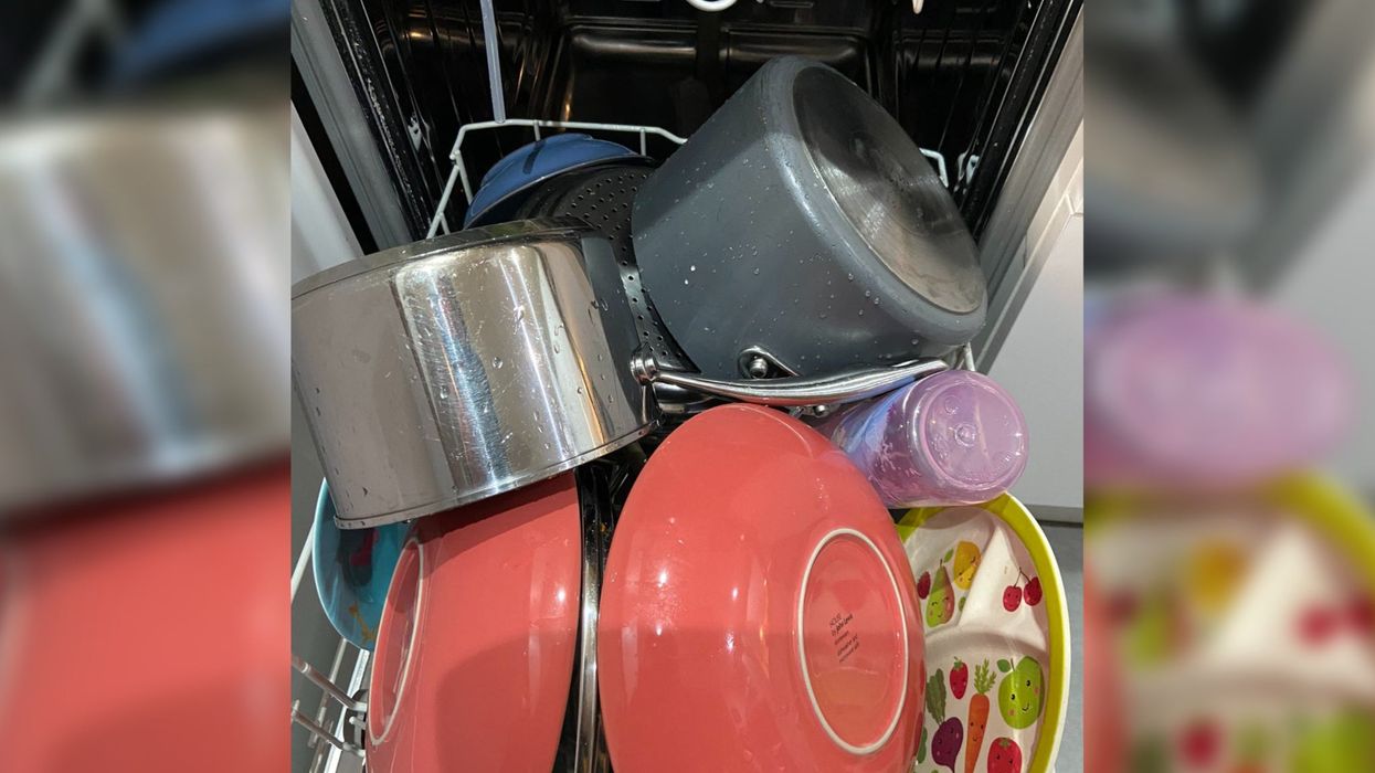 Fierce Twitter debate after woman reveals how her wife loads the dishwasher