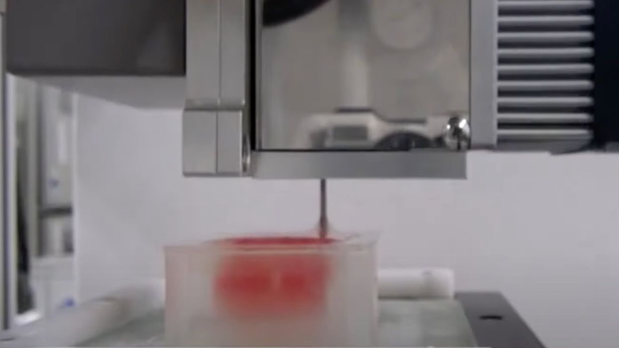 Scientists create the first ever 3D printed wagyu beef in a lab
