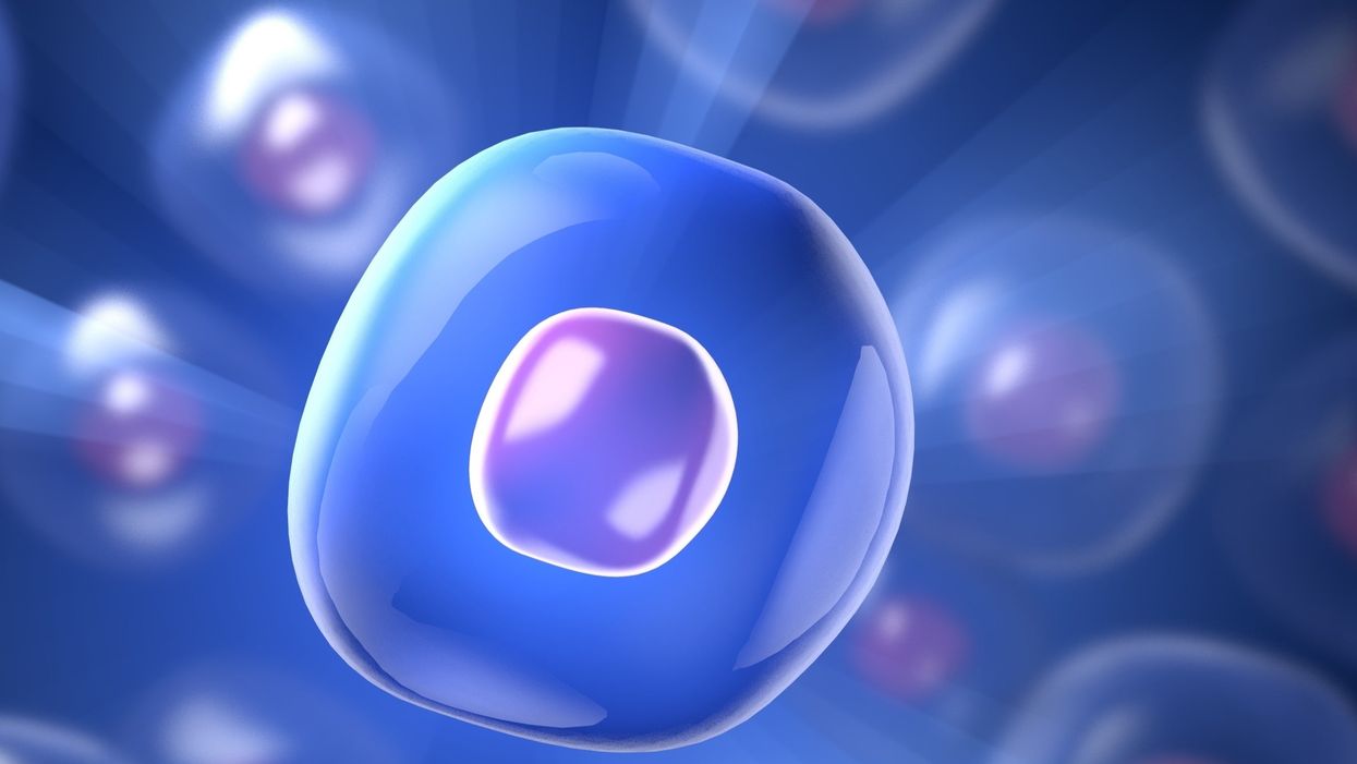 Lab grows human brain cells with rudimentary ‘eyes’ that can see light