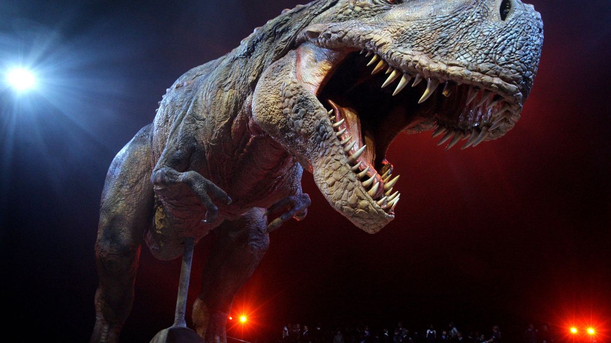 The T. Rex was a ‘delicate foodie,’ new research suggests