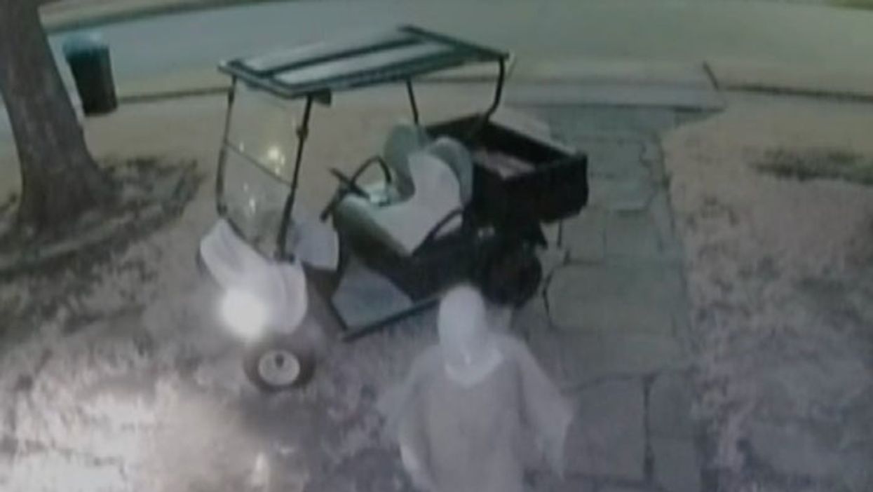 Woman driving golf cart caught on camera stealing package delivery