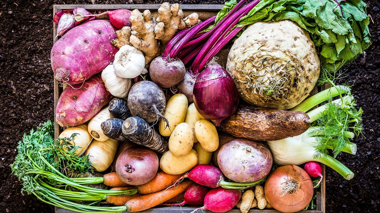 Berlin’s university canteens go almost meat-free as students prioritise climate