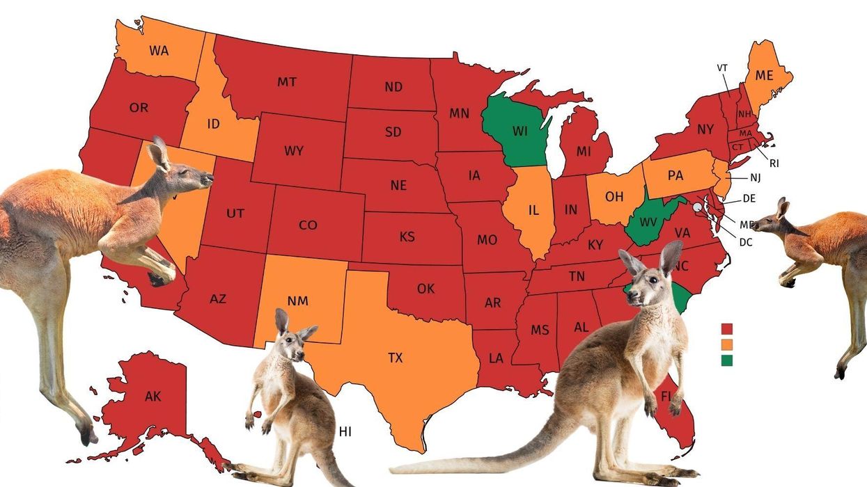 All the places in the US where you can legally buy a kangaroo, mapped
