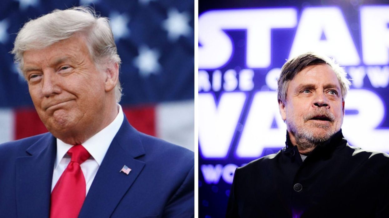 Mark Hamill had the best response to Trump continuing to claim he won the election which he lost