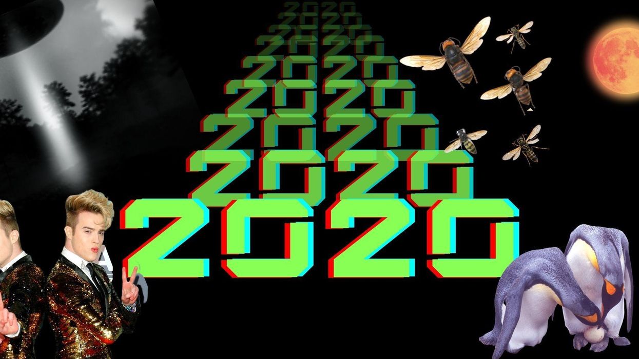 From feral monkeys to disappearing stars, here are 20 of the weirdest things which have happened in 2020 so far