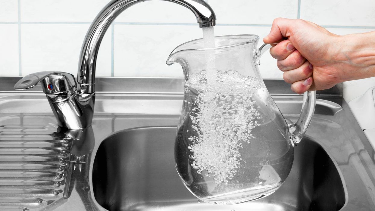 12 best water pitchers to hold your favorite beverages