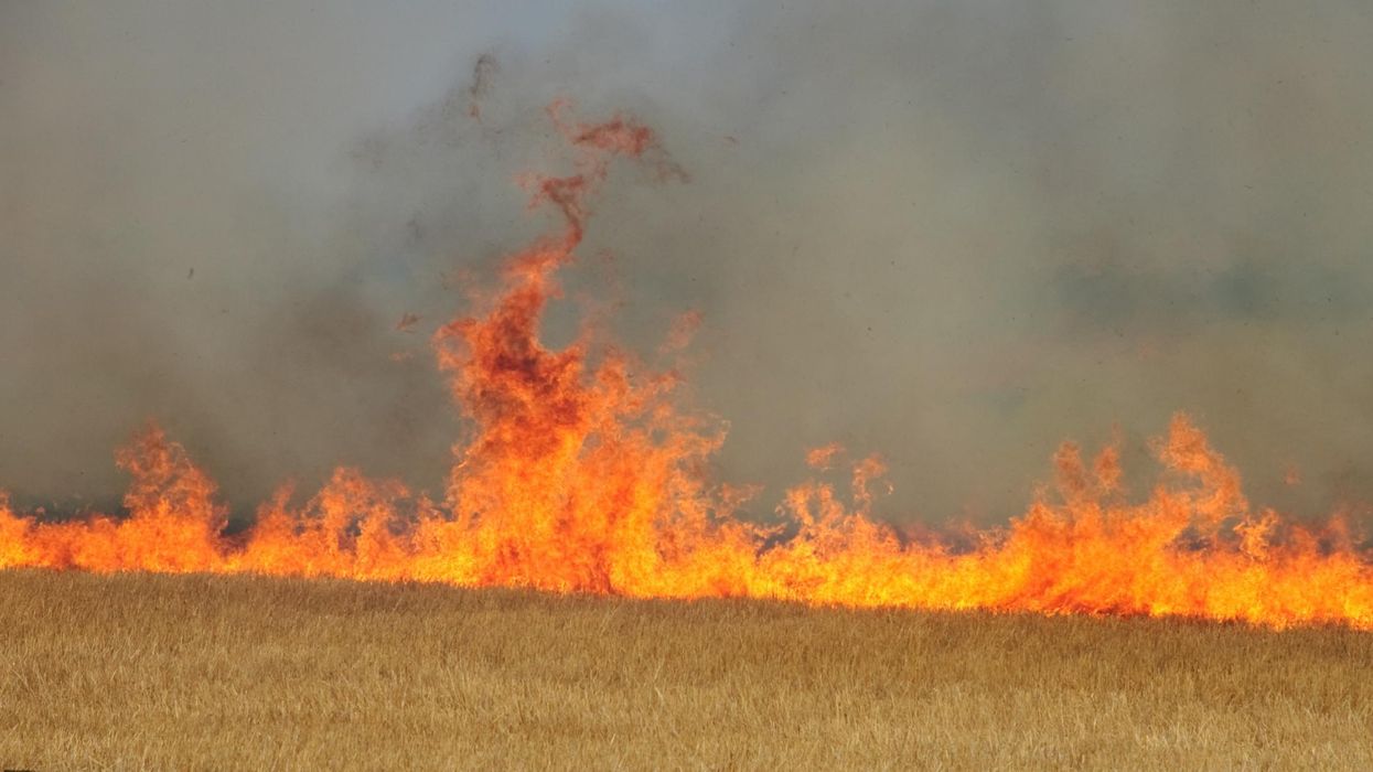 Gender reveal party disaster causes huge wildfire in California