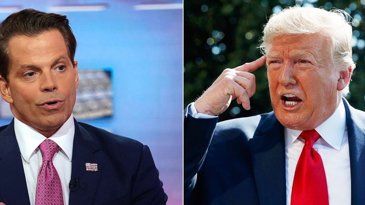 Anthony Scaramucci says he got tens of thousands of new followers after Trump called him a 'loser'