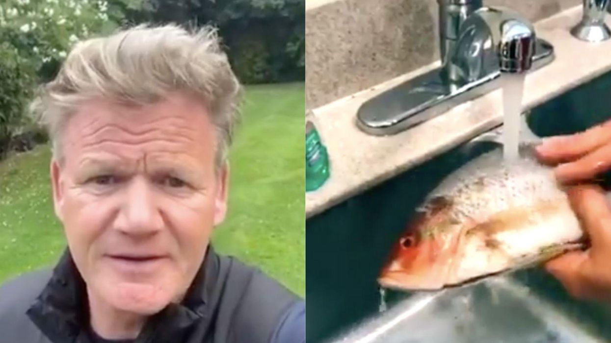 People are signing up to have their home cooking brutally roasted by Gordon Ramsay