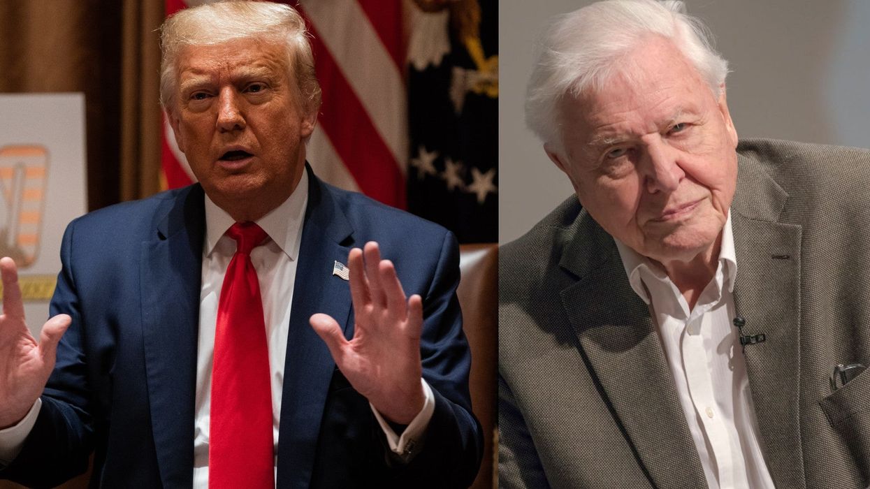 This video of David Attenborough narrating Trump might be the funniest thing you see today