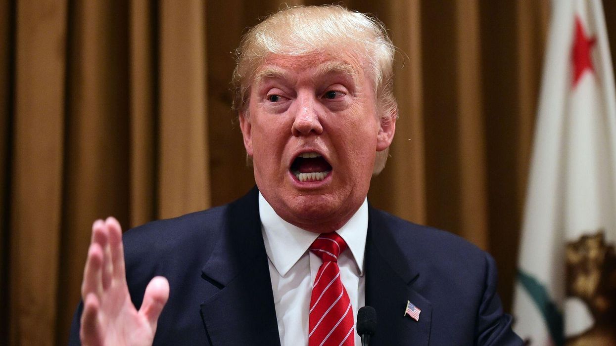 'She's a mess!': Trump blasts his own niece in furious tirade after publication of her explosive tell-all book about the president