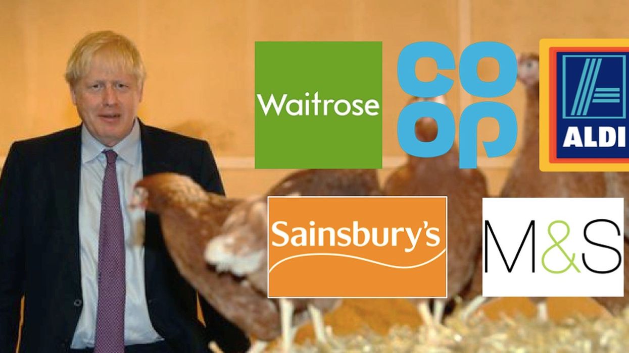 All of these supermarkets have told Boris Johnson they'll never stock Trump’s chlorinated chicken