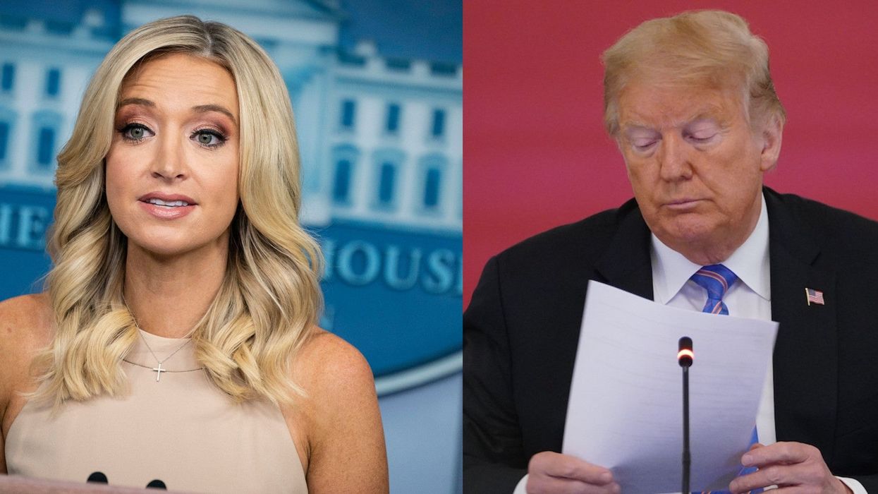 Kayleigh McEnany said, without irony, that Trump is the 'most informed person on the planet'
