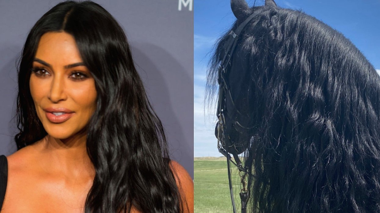 Kim K Ranch Friesian horses: Kim Kardashian slammed for tone-deaf comments about ...