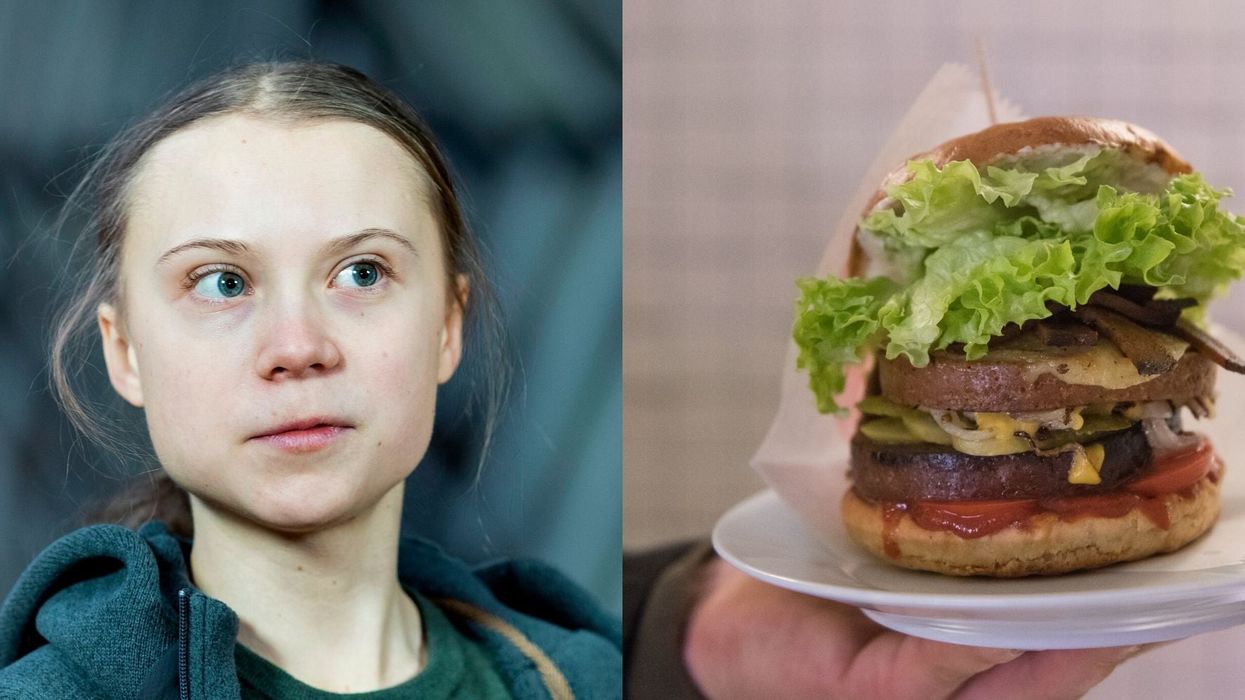 Furious vegans brand restaurant 'disgusting' for naming burger after Greta Thunberg