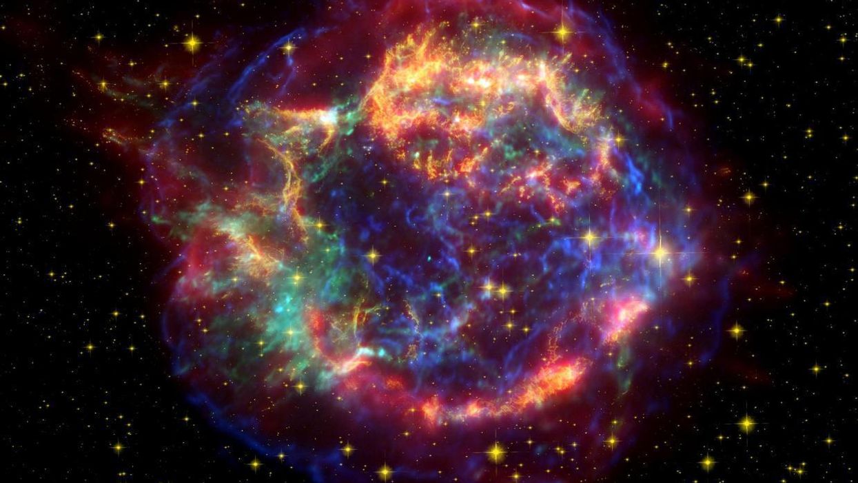 Bacteria get dangerously weird in space