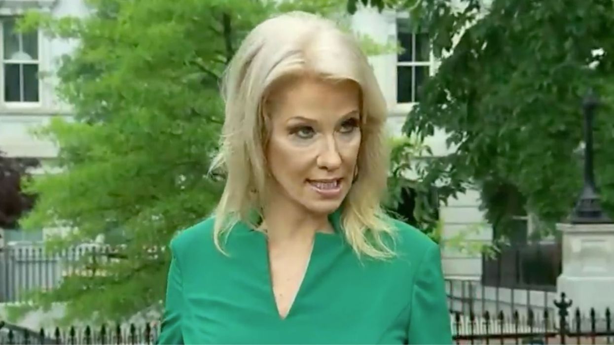 Kellyanne Conway claims people are 'waiting in line' for cupcakes so they should be able to go out to vote
